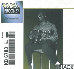 Image du média "BLACK, BROWN AND WHITE de Big Bill BROONZY"