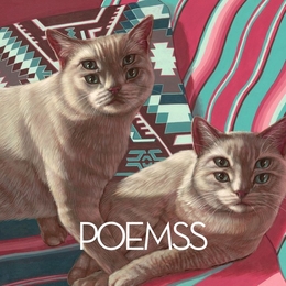 Image du média "POEMSS de POEMSS"