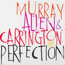 Image du média "PERFECTION de David MURRAY/ALLEN/CARRINGTON POWER TRIO"