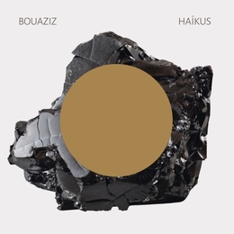 Image du média "HAIKUS de BOUAZIZ"