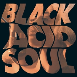 Image du média "BLACK ACID SOUL de LADY BLACKBIRD"