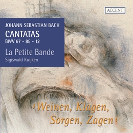 Image du média "CANTATES:  67, 85, 12 VOL.11 de Johann Sebastian BACH"