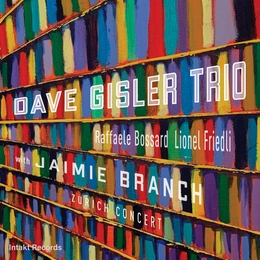 Image du média "ZURICH CONCERT de Dave GISLER TRIO WITH JAMIE BRANCH"