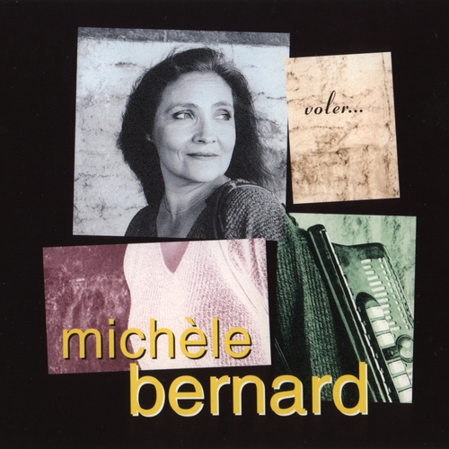 Couverture VOLER... de Michèle BERNARD