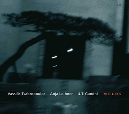 Image du média "MELOS de Vassilis TSABROPOULOS/ANJA LECHNER/U.T.GANDHI"