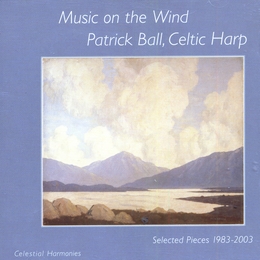 Image du média "MUSIC ON THE WIND de Patrick BALL"