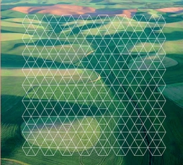 Image du média "FIELDS de Henry PLOTNICK"