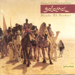 Image du média "MAMBO EL SOUDANI: NUBIAN AL JEEL MUSIC FROM CAIRO de SALAMAT"