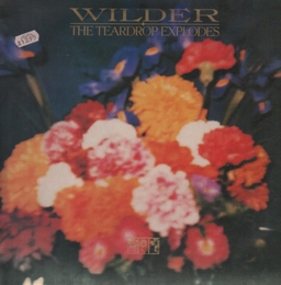 Image du média "WILDER (EXPANDED ESDITION) de THE TEARDROP EXPLODES"