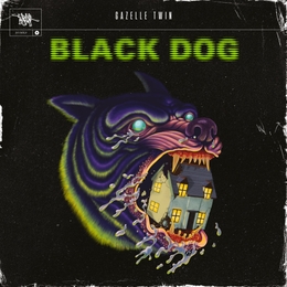 Image du média "BLACK DOG de GAZELLE TWIN"