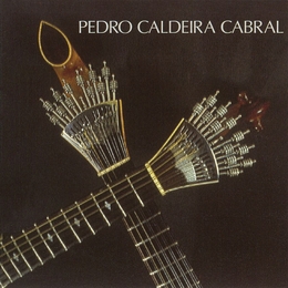 Image du média "PEDRO CALDEIRA CABRAL de Pedro CALDEIRA CABRAL"