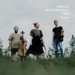 Image du média "BUVÊR de Ingvild BLAESTERDALEN TRIO"