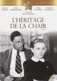 Image du média "L'HÉRITAGE DE LA CHAIR de Elia KAZAN"