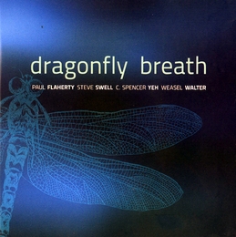 Image du média "DRAGOFLY BREATH de Paul FLAHERTY/SWELL/YEAH/WALTER"