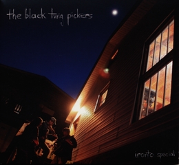 Image du média "IRONTO SPECIAL de THE BLACK TWIG PICKERS"