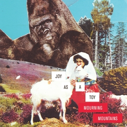 Image du média "MOURNING MOUNTAINS de JOY AS A TOY"