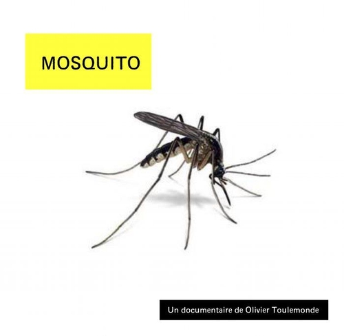 Couverture MOSQUITO de Olivier TOULEMONDE