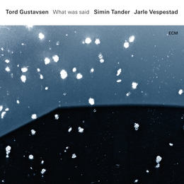 Image du média "WHAT WAS SAID de Tord GUSTAVSEN"