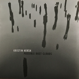 Image du média "POSSIBLE DUST CLOUD de Kristin HERSH"