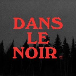 Image du média "DANS LE NOIR de Safia NOLIN"