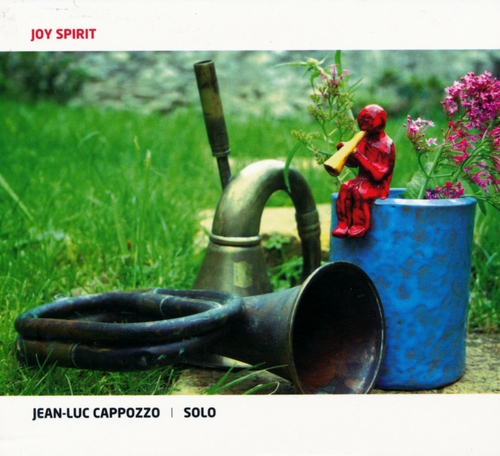 Couverture JOY SPIRIT de Jean-Luc CAPPOZZO