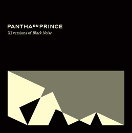 Image du média "XI VERSIONS OF BLACK NOISE de PANTHA DU PRINCE"