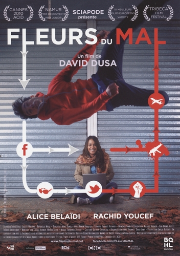 Couverture FLEURS DU MAL de David DUSA