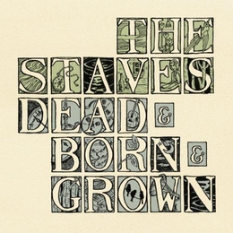 Image du média "DEAD & BORN & GROWN de THE STAVES"