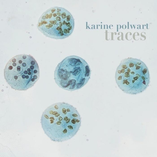 Couverture TRACES de Karine POLWART