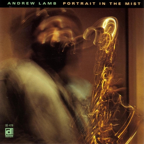 Couverture PORTRAIT IN THE MIST    ? de Andrew LAMB