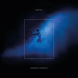 Image du média "SONDER SOMATIC de BRUCE"