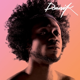 Image du média "DORNIK de DORNIK"