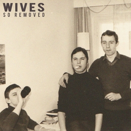 Image du média "SO REMOVED de WIVES"