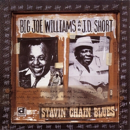 Image du média "STAVIN' CHAIN BLUES de Big Joe WILLIAMS & J.D.SHORT"