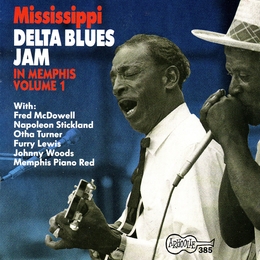 Image du média "MISSISSIPPI DELTA BLUES JAM IN MEMPHIS, VOL.1 de DELTA MISSISSIPPI"