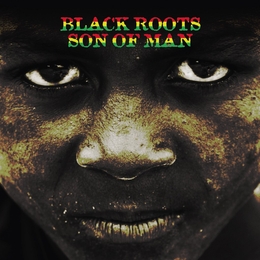 Image du média "SON OF MAN de BLACK ROOTS"