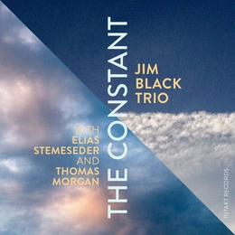 Image du média "THE CONSTANT de Jim BLACK TRIO"