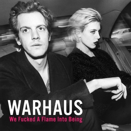 Image du média "WE FUCKED A FLAME INTO BEING de WARHAUS"