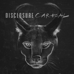 Image du média "CARACAL de DISCLOSURE"