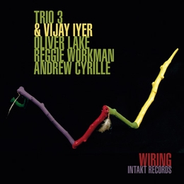 Image du média "WIRING de TRIO 3 & VIJAY IYER"