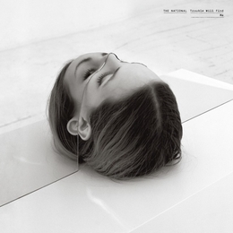 Image du média "TROUBLE WILL FIND ME de THE NATIONAL"