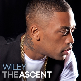 Image du média "THE ASCENT de WILEY"