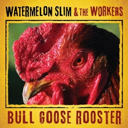 Image du média "BULL GOOS ROOSTER de WATERMELON SLIM & THE WORKERS"