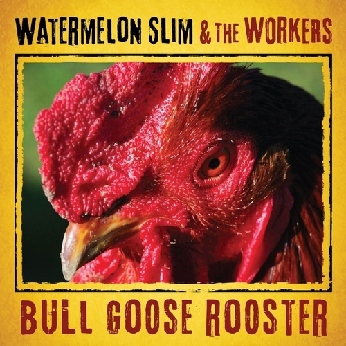 Couverture BULL GOOS ROOSTER de WATERMELON SLIM & THE WORKERS