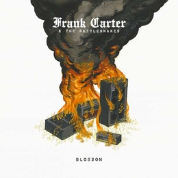 Image du média "BLOSSOM de Frank CARTER & THE RATTLESNAKES"