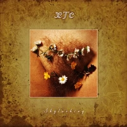 Image du média "SKYLARKING (REMASTERED) de XTC"