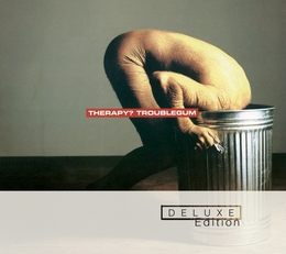 Image du média "TROUBLEGUM (DELUXE EDITION) de THERAPY?"