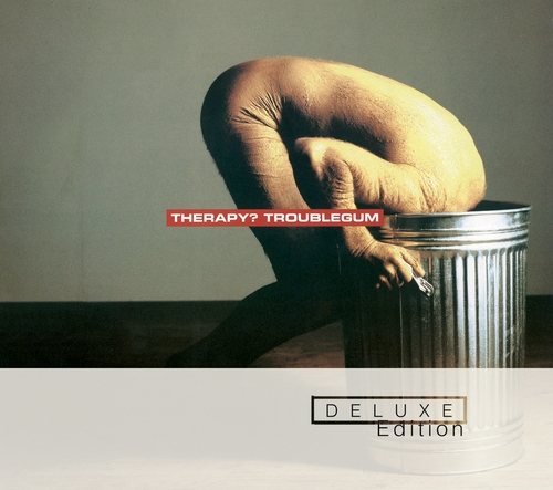 Couverture TROUBLEGUM (DELUXE EDITION) de THERAPY?