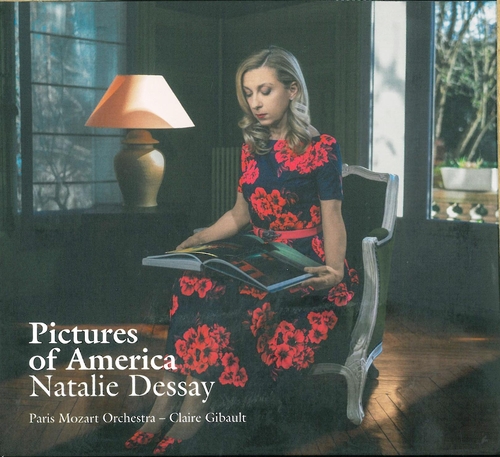 Couverture DESSAY - PICTURES OF AMERICA