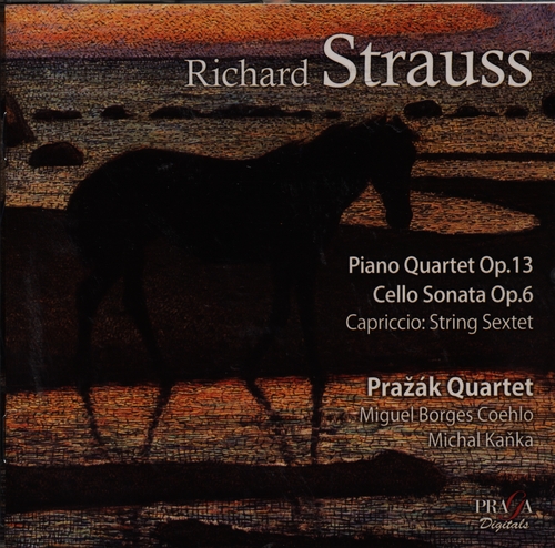 Couverture QUATUOR CLAVIER / SONATE VIOLONCELLE / CAPRICCIO de Richard STRAUSS